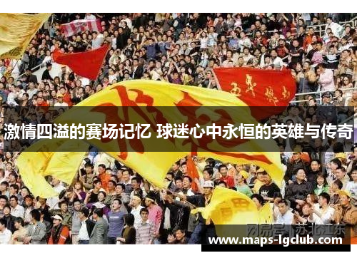 激情四溢的赛场记忆 球迷心中永恒的英雄与传奇