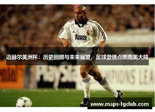 迈赫尔美洲杯:历史回顾与未来展望,足球激情点燃南美大陆 迈赫尔美洲杯:历史回顾与未来展望,足球激情点燃南美大陆