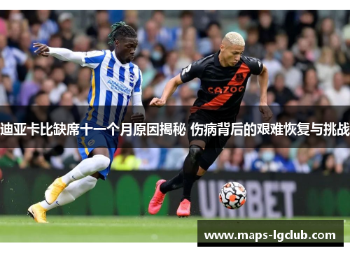迪亚卡比缺席十一个月原因揭秘 伤病背后的艰难恢复与挑战