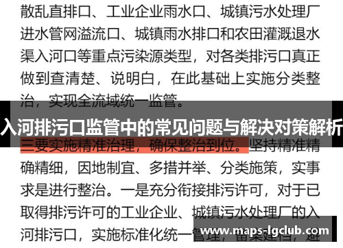 入河排污口监管中的常见问题与解决对策解析 入河排污口监管中的常见问题与解决对策解析