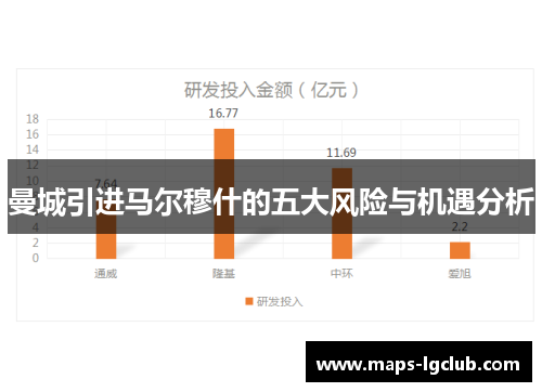 曼城引进马尔穆什的五大风险与机遇分析 曼城引进马尔穆什的五大风险与机遇分析